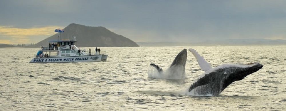 Salamander Beach Accommodation - Adults Only Salamander Bay Buitenkant foto